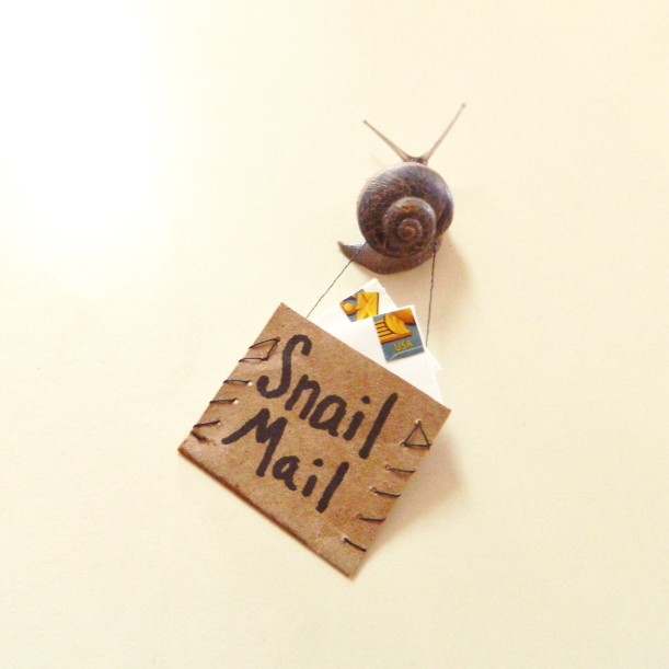 snail carrying a cardboard that says "snail mail"